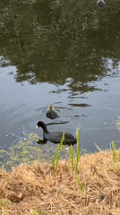 Spring afternoon scenes captured around Noordwijk canals and gardens