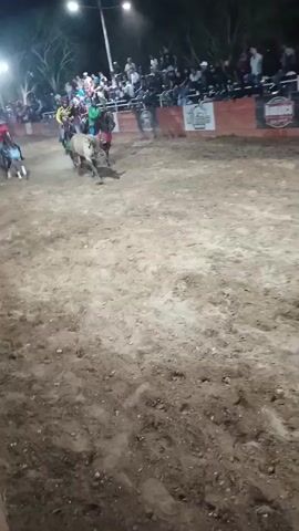 A video shows a group of men on horseback chasing a bull in a dirt arena. Several spectators are visible along the perimeter of the arena, watching the action. The event appears to be taking place at night under bright lights. The men on horseback are wearing a variety of attire. The bull is light-colored. The ground is muddy and churned up from the activity.
