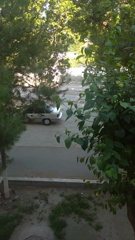 The video presents an overhead view of an outdoor scene, likely filmed from a window or balcony. The foreground is dominated by lush green foliage from trees and bushes, with some leaves hanging directly into the frame. Below the foliage, a paved or concrete surface is visible. A white car, possibly a sedan, is parked on this paved area in the midground, partially obscured by the surrounding trees on the left. To the right of the paved area, there are patches of sparse grass and dirt. The scene is brightly lit by natural sunlight, suggesting daytime conditions. No human activity is observed; the car remains stationary. The camera initially looks down, then slowly pans upwards, bringing more of the foreground foliage into view. The setting appears to be a quiet outdoor space in Kokand, Uzbekistan. No visible text is present.