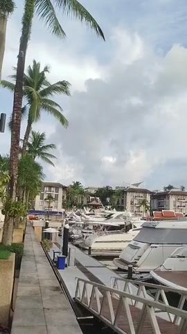 The video shows a walkway next to a marina with several yachts docked. Palm trees are visible on the left side of the frame, and buildings are in the background. The sky is cloudy. The camera pans across the yachts and the marina.
