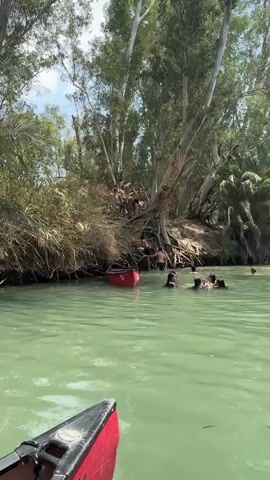 A group of people are swimming and jumping into a river. In the foreground, a red canoe is partially visible. In the middle ground, several people are in the water, and a red kayak is moored near the bank. On the riverbank, a group of people are standing and sitting on a natural embankment covered in trees and vegetation. Some individuals are in the process of jumping into the water from the embankment. The water is a greenish hue, and the scene is illuminated by natural daylight.