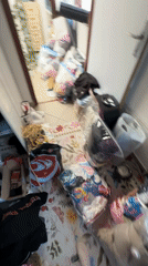 Zagreb witness captures messy room, woman's outdoor selfie