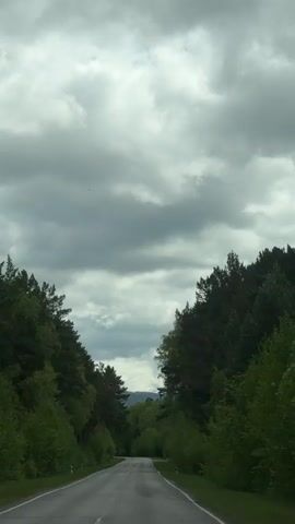 The video shows a view from a moving vehicle driving on an asphalt road through a dense forest.  The road is grey with a double yellow line marking the center. Tall green trees line both sides of the road, creating a tunnel-like effect. The sky is overcast with heavy grey clouds.  A hint of distant mountains is visible through the trees at the end of the road. The overall impression is of a cloudy day in a wooded area.