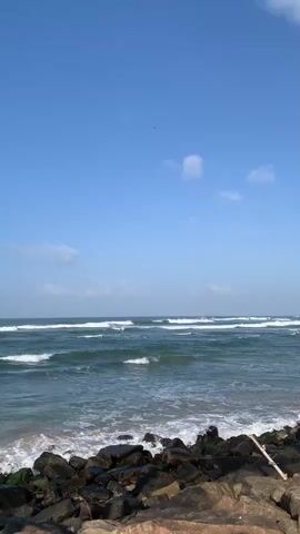 This media file captures a serene coastal scene in Kathaluwa, Sri Lanka. The view is dominated by a clear, bright blue sky with a few scattered white clouds. A small, dark bird is visible in the upper left quadrant of the sky. Below the sky, the deep blue ocean stretches to the horizon, with several layers of white-capped waves rolling towards the shore. The water appears calm and inviting.

In the foreground, a rocky shoreline is visible. Large, dark rocks, some partially covered in green moss, line the edge of the water. A single piece of driftwood lies on the rocks on the right side of the frame. The texture of the rocks and the foamy white of the waves create a contrast with the smooth expanse of the sea and sky.

The lighting suggests it is daytime, likely morning or afternoon, given the brightness and clarity of the sky. There are no people visible in the frame, emphasizing the natural beauty of the location. The overall mood of the scene is peaceful and tranquil, evoking a sense of calm and natural splendor. The specific location is identified as Kathaluwa, Sri Lanka, providing geographical context. There is no visible text in the media file.