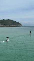 Divers, hydrofoilers, and longtails on a busy Koh Phangan bay