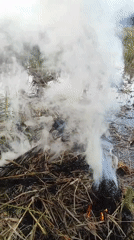 Small fire burns in harvested rice field in Lhokseumawe
