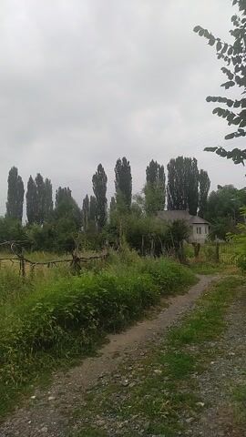 This is a video of a rural landscape in Kara-Kulja, Kyrgyzstan. The camera is positioned at a slight angle, looking across a gravel path and a grassy field bordered by a fence. In the background, a line of tall, slender trees stands silhouetted against a cloudy sky. Further beyond the trees, a small white house with a dark roof is visible.

The scene appears to be taking place during the daytime, with the overcast sky suggesting it might be a cloudy or slightly foggy day. The grass in the field is lush and green, indicating a period of growth, possibly spring or summer. The fence is made of wooden posts and wire, and it seems to be in a state of disrepair in some sections.

There are no people visible in the video. The primary subjects are the natural landscape, the man-made fence, the trees, and the distant house. The activity, if any, is simply the passive observation of this serene rural setting. The overall mood is one of quiet solitude and natural beauty. There is no visible text within the video frames.