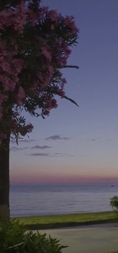 Evening coastal scenes documented across Bar, Montenegro resort town