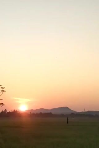 The video depicts a tranquil rural scene at sunset or sunrise. A vast green field occupies the foreground, with a lone figure walking across it. In the distance, silhouetted mountains form a dark, undulating horizon.  The sun, a bright orange orb, peeks over the mountains, casting a warm glow across the sky. The sky fades from a pale yellow near the horizon to a light, almost white, hue at the top of the frame. A tree with spindly branches is visible on the left side of the frame.