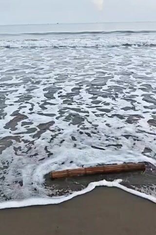 The video shows a close-up, eye-level view of waves washing over a sandy beach. A piece of bamboo is partially submerged in the sand, in the path of the incoming waves. The waves are breaking and creating foam as they reach the shore. The sky is overcast, and the water appears calm, with gentle swells in the distance. The focus is on the bamboo and the water's interaction with it. There are no people visible in the video.