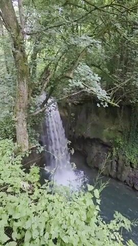 The video captures a serene natural landscape featuring a waterfall. Water cascades from an elevated stream into a wider body of water below, creating a gentle spray at the point of impact. The waterfall is surrounded by dense, verdant foliage, including numerous trees with lush green leaves that indicate a spring or summer setting. The banks of the lower stream are rocky and covered in moss and various green plants. In the foreground, bright green undergrowth partially frames the view of the waterfall and stream. The water in the stream below the waterfall has a clear, greenish-blue hue. The scene is illuminated by soft, diffused daylight, suggesting either an overcast sky or the filtering of sunlight through the dense tree canopy. No people or artificial structures are visible in the video, emphasizing the natural, untouched beauty of the location, which is situated near Bela, Bulgaria. The prominent sound throughout the video is the continuous rush of the falling water.