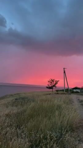 A vertical video pans from left to right across a rural landscape at dusk. The sky is dominated by dramatic pink and purple clouds, with darker gray clouds gathering in the upper left. A body of water, likely the sea, is visible on the horizon. In the foreground, tall, dry grass grows on a slight incline. A dirt road curves away into the distance, flanked by grass on the left and more vegetation and a fence on the right. A single utility pole with wires stands prominently on the right side of the road. Further along the road, a small tree grows on the left, and a white building with solar panels on its roof, along with two parked cars, are visible on the right. The overall atmosphere is serene and somewhat dramatic due to the vibrant sky.