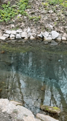 Quiet afternoon by stream documented in Russian village park