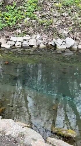 Quiet afternoon by stream documented in Russian village park