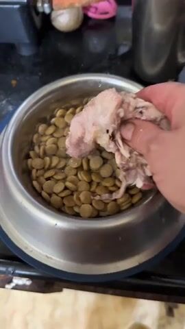 A hand is shown dropping pieces of shredded meat into a dog bowl filled with kibble and water. The dog bowl is on a blue mat. A second dog bowl, this one with a red base, is visible to the left and is also filled with kibble. In the background, a black countertop is visible with various objects, including a metal pot and a toy. The scene appears to be in a kitchen.
