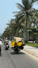 Motorbikes travel palm-lined street in Đà Nẵng, Vietnam