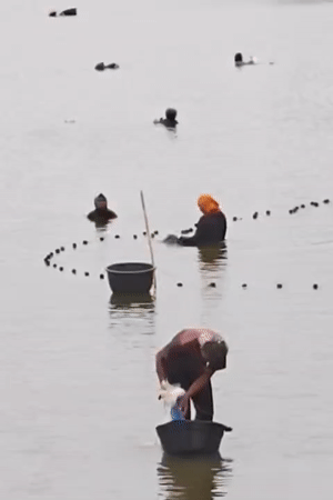 Fishing and everyday life along the Lhokseumawe waterfront