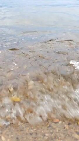 A low-angle, close-up shot focuses on the shallow, clear water of a lake or river. The bottom is visible, covered with small, colorful pebbles and sand. Gentle ripples move across the surface of the water, distorting the view of the bottom. In the distance, a thin, dark line of trees forms the shoreline under a cloudy sky. A few small orange buoys are visible in the water further out. The overall impression is one of a calm, natural outdoor scene.
