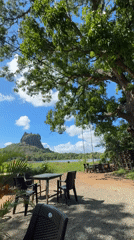 Peaceful morning captured at Sri Lanka's historic Sigiriya rock fortress