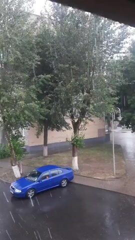 This media file captures a rainy day scene in Smarhon, Belarus. The main subjects are a blue sedan parked on a wet asphalt road and several large, green trees with visible raindrops falling on their leaves and the ground. Behind the trees, a multi-story residential building with a light-colored facade is visible. The building appears to be made of brick or concrete and has rows of windows. A sidewalk runs alongside the road, and a lamppost stands near the trees. The overall atmosphere is gloomy and wet, characteristic of a downpour. The time of day appears to be daytime, given the ambient light, though the overcast sky suggests it might be morning or afternoon. No people are visible in the frame, and there is no visible text.