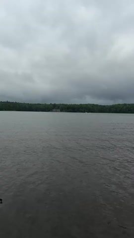A body of water is shown under a cloudy sky. The water appears dark and slightly rippled. In the distance, a tree line forms the horizon, with some structures visible among the trees. Several ducks are swimming on the water. The overall atmosphere is muted and overcast.
