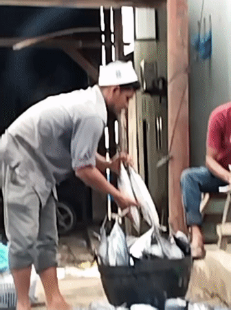 Morning fish market operations documented in Lhokseumawe, Indonesia