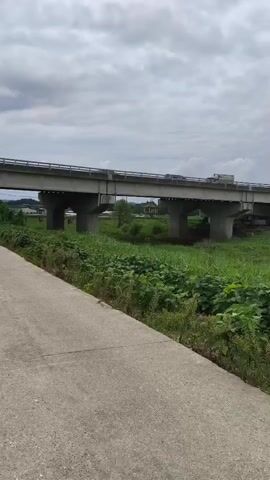 A paved path runs along the bottom left of the frame. Beyond the path is a grassy area with lush green plants. A concrete bridge with multiple pillars spans across the scene above the greenery. Trucks are visible driving on the bridge. The sky is overcast with clouds.