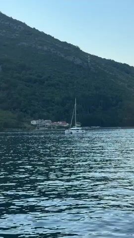 A white catamaran is sailing on the water. The boat has two hulls and a tall mast with a sail. It is sailing towards the right side of the frame. In the background, there is a lush green hillside covered in trees. Along the shoreline, there are several buildings with red roofs. The water is a deep blue and has small ripples on its surface, suggesting a gentle breeze. The sky above is clear and a pale blue, indicating it is likely late afternoon or early evening. The scene evokes a sense of tranquility and leisure, with the boat gliding smoothly through the calm waters. The buildings on the shore suggest a coastal village or town. No text is visible in the media.