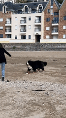 Casual beach day scenes captured in Trouville-sur-Mer, France