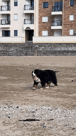 Casual beach day scenes captured in Trouville-sur-Mer, France