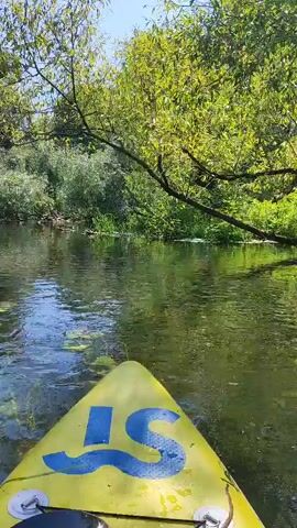 The video shows the bow of a yellow kayak with a blue logo on it moving down a narrow river surrounded by lush green trees and foliage. The water is clear and reflects the sky and trees. Lily pads are visible on the surface of the water. The sun is shining and the sky is blue.