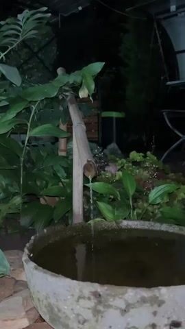 A close-up, low-angle shot captures a tranquil garden scene at dusk. In the foreground, a weathered, gray concrete basin holds dark water, with ripples indicating a gentle flow. A bamboo pipe, positioned diagonally, emerges from the left side of the frame, its opening angled downwards, allowing a thin stream of water to fall into the basin. Lush green foliage surrounds the bamboo pipe and basin, with large, broad leaves to the left and smaller, reddish-tinged leaves to the right. In the background, dark silhouettes of trees and an unseen structure suggest an outdoor setting. The lighting is dim, with hints of artificial light in the upper background, creating a serene and slightly mysterious atmosphere. There are no people visible in the frame.