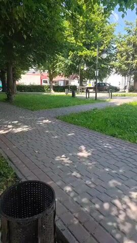 A sidewalk made of brick pavers runs diagonally across the foreground, with a dark metal trash can on the left. Beyond the sidewalk is a grassy area with trees and benches. In the background, buildings and a street are visible, with cars parked and driving. The sky is blue with some clouds. The video pans slightly to the right.