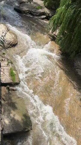 The video shows a close-up, overhead view of a shallow stream flowing over rocks and a sandy bottom. Lush green foliage hangs over the right bank, and large, light-colored rocks line the left bank. The water is clear and turbulent, with white foam indicating it is moving quickly. The scene appears to be outdoors in a natural setting, likely a forest or park.