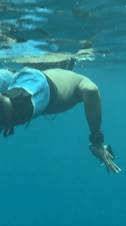 Underwater diving and marine life documented off Nusa Penida