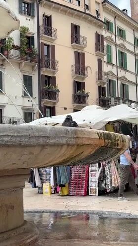 Tourist documents morning stroll through historic Verona city center