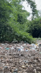 Witness documents citrus orchards and waste-littered field in Kintamani
