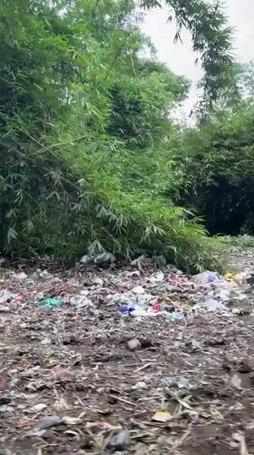 Witness documents citrus orchards and waste-littered field in Kintamani