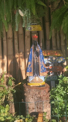 Religious statue and beachside moments documented in Florianópolis