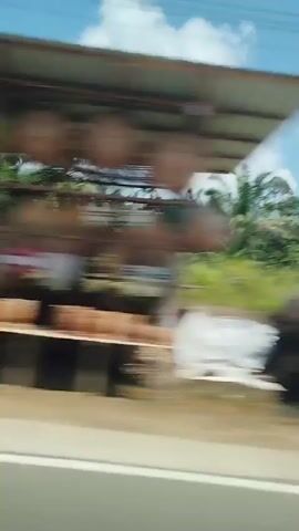 The video shows a view from a moving vehicle, looking towards the right side of the road. The scenery consists of a roadside with a cut-away hill on the left, showing layers of earth. Palm trees and other lush green foliage are visible on the hillside. Further along, there's a road with yellow barriers and more trees and vegetation. The sky is partly cloudy. The motion blur indicates the video was recorded while in transit.