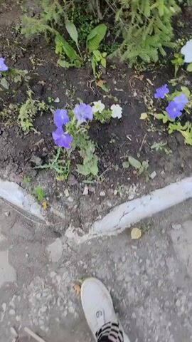 The video shows a ground-level view of a flower bed with various petunia plants. The petunias are in shades of pink, purple, and white. The soil is dark and appears damp. There are also some green weeds and leaves scattered around the flowers. In the foreground, the edge of a concrete border and a person's foot wearing a light-colored shoe are visible. The camera pans slowly across the flower bed, focusing on the different colored blooms.