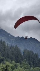 Solang Valley's full tourist spread: paragliders, yaks, camels, and gondolas