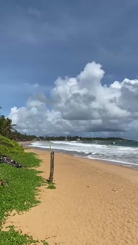 A slow-motion video pans across a tropical beach. The sand is a golden tan, with a patch of green vegetation bordering the left side of the frame. A single wooden post stands in the sand near the vegetation line. The ocean stretches to the horizon, with white waves crashing onto the shore under a bright blue sky filled with large, puffy white clouds. In the distance, a coastline with palm trees and buildings is visible. A small amount of trash is scattered on the beach near the vegetation.