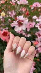 Person photographs manicured nails with blooming roses in Bulgaria