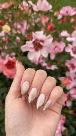 Person photographs manicured nails with blooming roses in Bulgaria