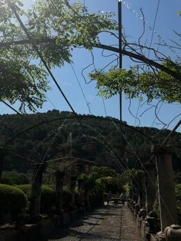 The video shows a walkway with archways formed by pipes and pillars, from which water is being sprayed. Lush greenery is visible along the sides of the path, and people are strolling in the distance. The backdrop features a hillside covered with trees under a clear blue sky, with the sun shining brightly.