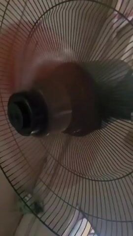 The camera focuses on a spinning electric fan enclosed by a metal wire cage. The central motor housing is dark, and the fan blades are blurred due to rapid motion. The background is a light, off-white color. The fan's rotation is the only discernible action.