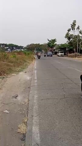 A motorcycle with a person wearing a white helmet and a backpack is traveling on a paved road. The road has a white dashed line marking the lane. There are other motorcycles and a blue car on the road ahead. The environment appears to be rural with dry grass and trees on the left side of the road and buildings and more trees on the right. The sky is overcast.
