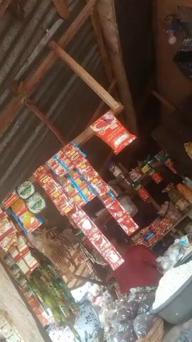 A small shop with a corrugated metal roof is depicted from a high angle. The shop sells various food items, including spices in small packets hanging from the ceiling, and other packaged goods displayed on shelves.  A person wearing a red shirt is visible behind the counter. The shop appears somewhat cluttered and dimly lit.