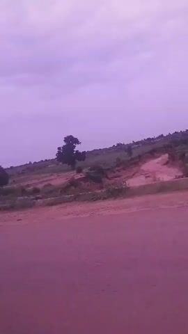 The video pans across a dusty, red-dirt road. The sky is a muted purple. To the left of the road, there is a ditch or gully that appears to have been carved out by water erosion, with a few sparse green bushes and a lone, tall tree on the higher ground beyond. Further in the distance, more vegetation and possibly some cultivated fields can be seen on a sloping hillside. The road itself is uneven and seems to be made of loose soil. The perspective suggests the video is being filmed from a moving vehicle.